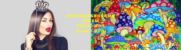 дмт Белоозёрский