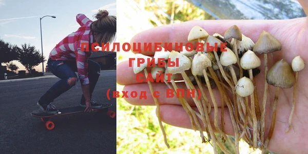 дмт Белоозёрский