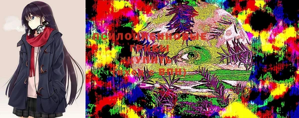 mix Белокуриха
