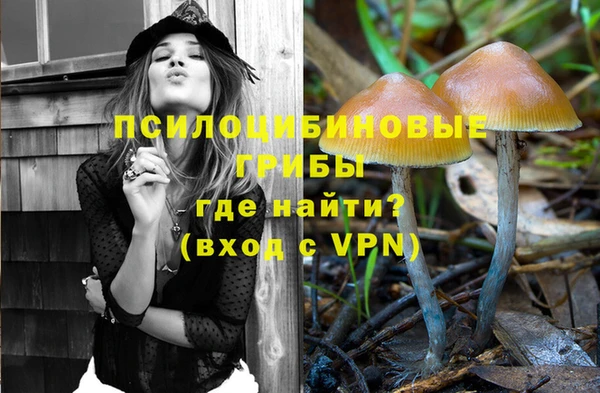 гидропоника Беломорск