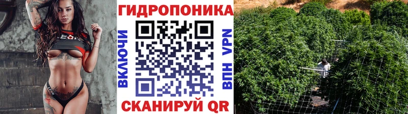 дарнет шоп  Верхняя Пышма  МАРИХУАНА VHQ 